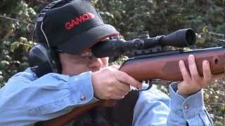 Carabinas Gamo Hunter DX, Shadow DX, Delta Fox Whisper (Gamo Airguns)