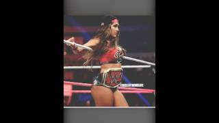 Nikki bella pictures
