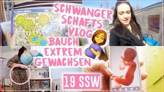 Keine Kindsbewegungen? • Harter Bauch?? • 19 SSW• Maria Castielle