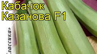 Кабачок Казанова F1. Краткий обзор, описание характеристик, где купить семена cucurbita pepo