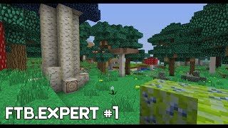 FTB. Expert #1 | Трудный старт