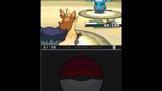 Pokémon Noir - [Soluce - 177. Percila (Revanche)]