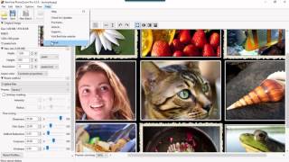 PhotoZoom Pro 6x How To Setup