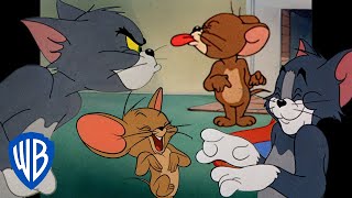 Tom y Jerry en Español ???????? | Buenos amigos, mejores enemigos | @WBKidsEspana