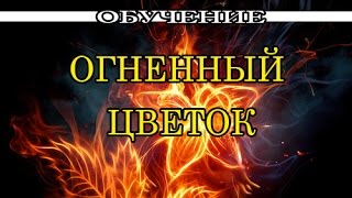 Вебинар "Огненный цветок"