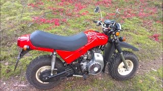 Tula TMZ 5.952 New Life
