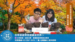 秋天是最浪漫的季節，出國不賞楓實在太可惜