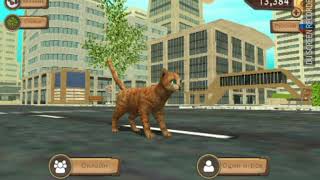 Cat Sim 200 LVL ВЗЛОМ НА БЕСМЕРТИЕ!