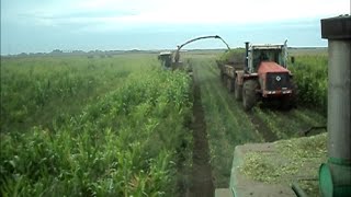 DON-680 Kirovets K-744, KSK-600 silage /// ДОН-680, Кировец К-744, КСК-600 Заготовка силоса