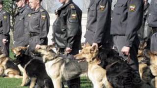 Крафту 9 месяцев