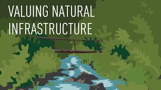 Valuing Natural Infrastructure: The Nature Conservancy (2010)