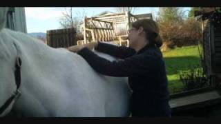 Horse Therapy  "Gentle Hands" Equine Therapy