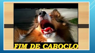 FIM DE CABOCLO****BALTAZAR VIOLEIRO E MARTINHO-Comp-(Iron Lamana / Baltazar Violeiro)