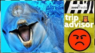 Warum TripAdvisor FALSCH liegt ❗ ? | zoos.media