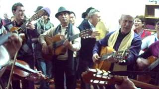 El berro 2010 V