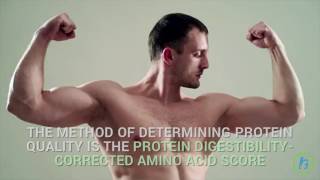 Build Muscle On A Plant-Based Diet