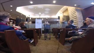Israel Advocacy - Sandra Solomon 18 mins