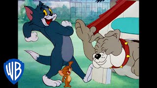 Tom & Jerry in italiano | La Serata Divertente 