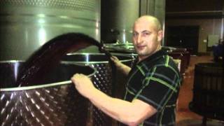 vinos ALICERES RIBERA DEL DUERO PEÑAFIEL EN SOLOIBERICOS