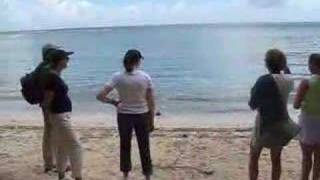 Hiking the Reef Bay Trail - Part Two, St. John, US Virgin Is