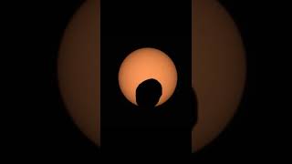 A Martian Solar Eclipse