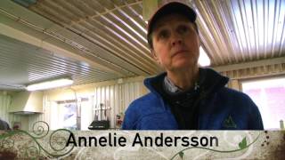 Annelie Andersson - Åkes slakt