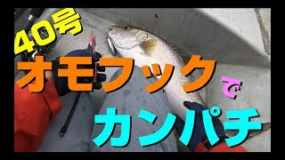 【沖縄】オモフック（オモック）でカンパチｘ2【GoProHero7】