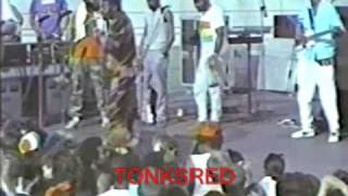 General Trees Live