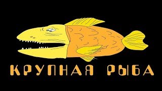 Крупная Рыба #25. Дмитрий Борисов - боец за благотворительность.
