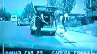 Thief Gets Busted in the Most Unusual Way