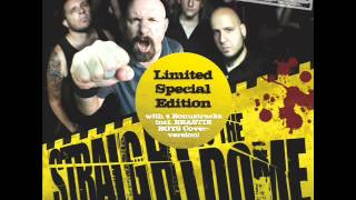 Pro-Pain - Payback