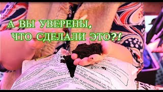 А ВЫ УВЕРЕНЫ, ЧТО СДЕЛАЛИ ЭТО?! ВАЖНЫЕ ШАГИ ПРИ ПОДГОТОВКЕ К ПОСАДОЧНОМУ СЕЗОНУ.