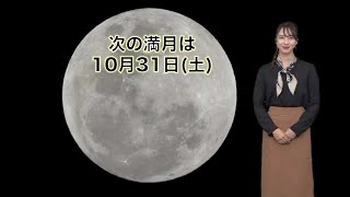31日(土)は満月「ブルームーン」見えるエリアは？