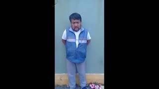 Por las mañanas no hago nada y por las tardes descanso