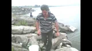tevzaoba walkis wyalsacavze fiderit 2