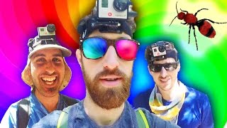 3 Guys Not On Acid Ep. 1: Bee or Ant {The Kloons}