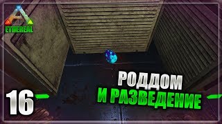 ARK Survival Evolved - Ethereal 16 часть
