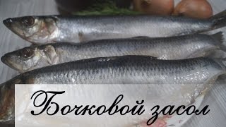 Засолка сельди в банке (Настоящий бочковой засол)