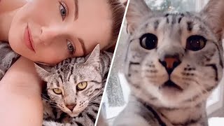 Cat learns to talk for lonely mom
