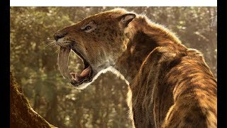 노아홍수 이전 거대육식동물들 (Prehistoric carnivores)