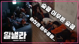 [마마무] 놀라기 바쁜 도둑들 (숨었음 아무튼 숨음)