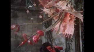 Адела еще не ужинала  Чехословакия  1977