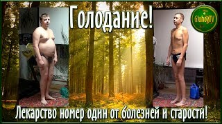 Голодание!  Лекарство номер один от болезней и старости!