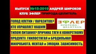 №15. ЧТО НАМИ ДВИЖЕТ при выборе ПИЩИ? кто нами УПРАВЛЯЕТ?