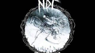 NUCLEAR DEATH TERROR - Chaos Reigns