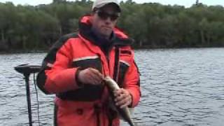 Lady Evelyn Lake Fishing - Due North #3
