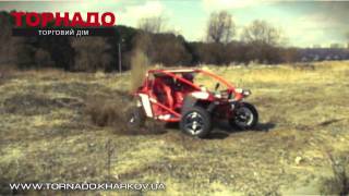 Багги ТОРНАДО GMS-4