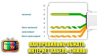 КАК ПРАВИЛЬНО ОБЖАТЬ ИНТЕРНЕТ КАБЕЛЬ 4 ЖИЛЫ ВИТАЯ ПАРА