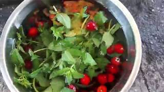 ЧТО ДЕЛАТЬ? ЕСЛИ ЧЕРЕШНЯ( ВИШНЯ)ЧЕРВИВАЯ