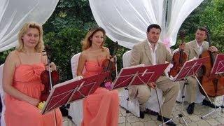 Promo Music Video - VIVO QUARTET 2013